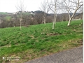Image du bien UBI483738668